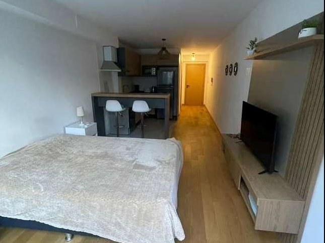 VENTA MONOAMBIENTE PUNTA CARRETAS  PATIO CON RENTA — foto 9