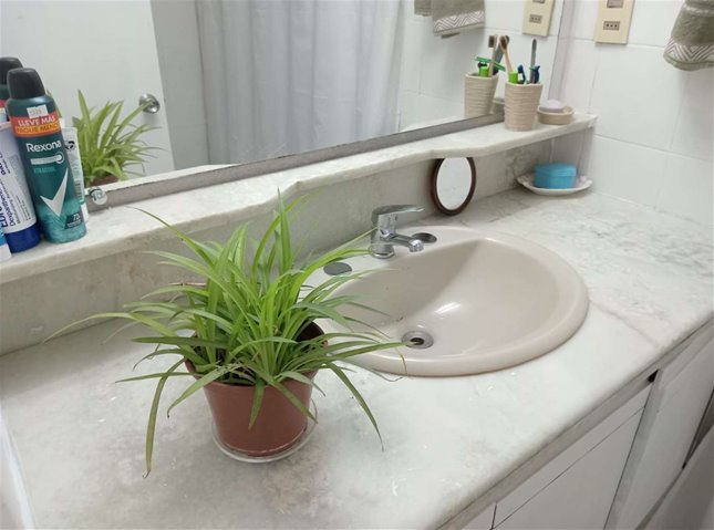 Alquiler Apartamento Pocitos 3 Dormitorios 2 Baños Garaje Patio — foto 15